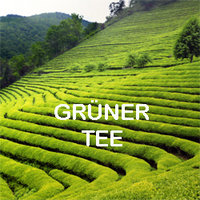 Grüner Tee in Bio-Qualität bestellen
