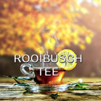 Rooibos Tee in guter Qualität online kaufen